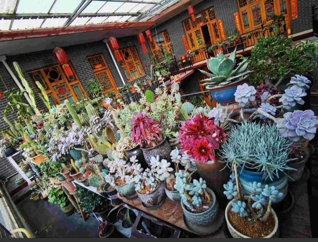 Pingyao Jiaxin Guesthouse Dış mekan fotoğraf